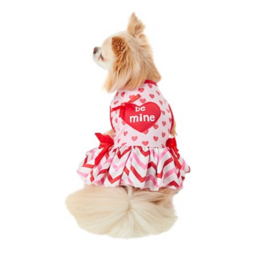 Valentine's Day Sweetheart Dress Dog Costume Small